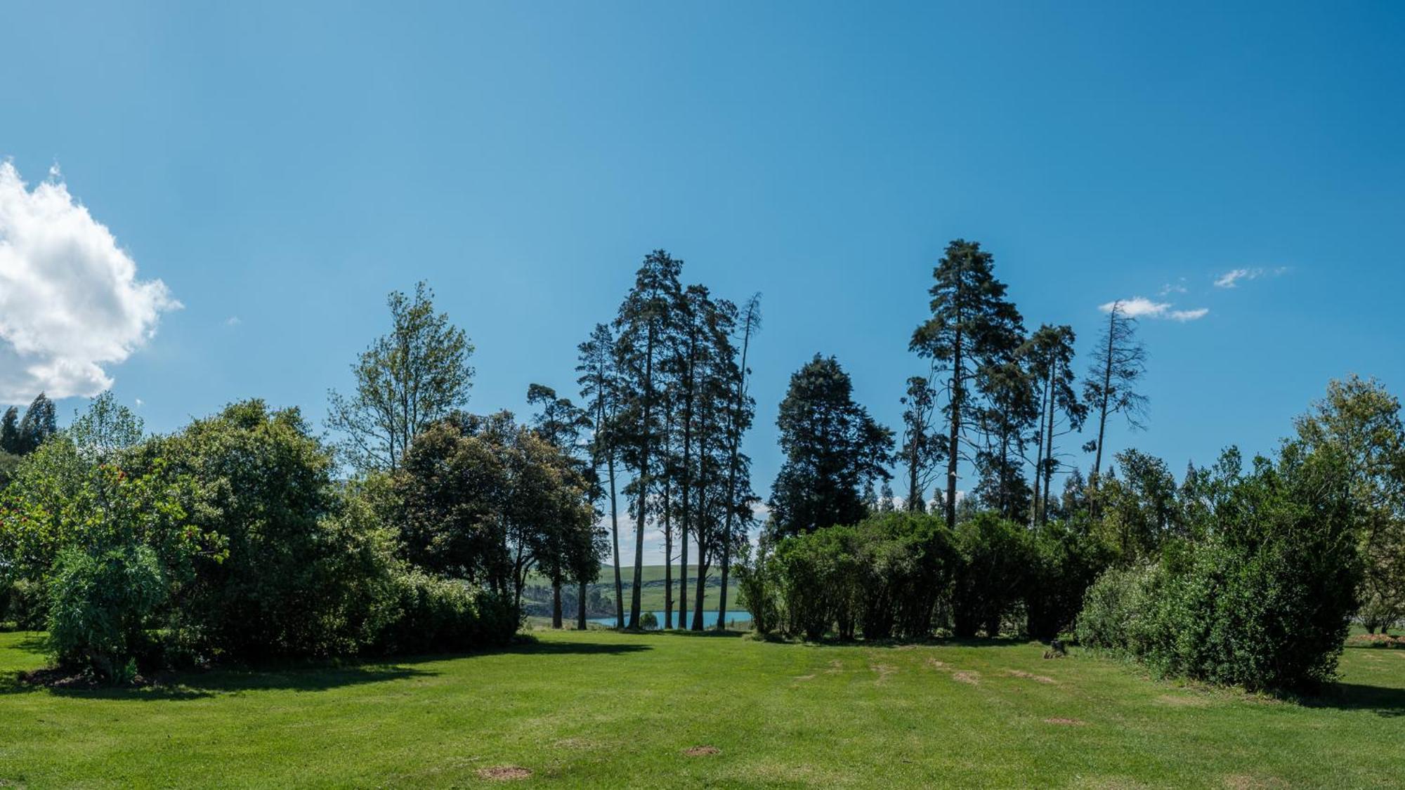 The Border Post, Bed And Breakfast Bergville Bagian luar foto