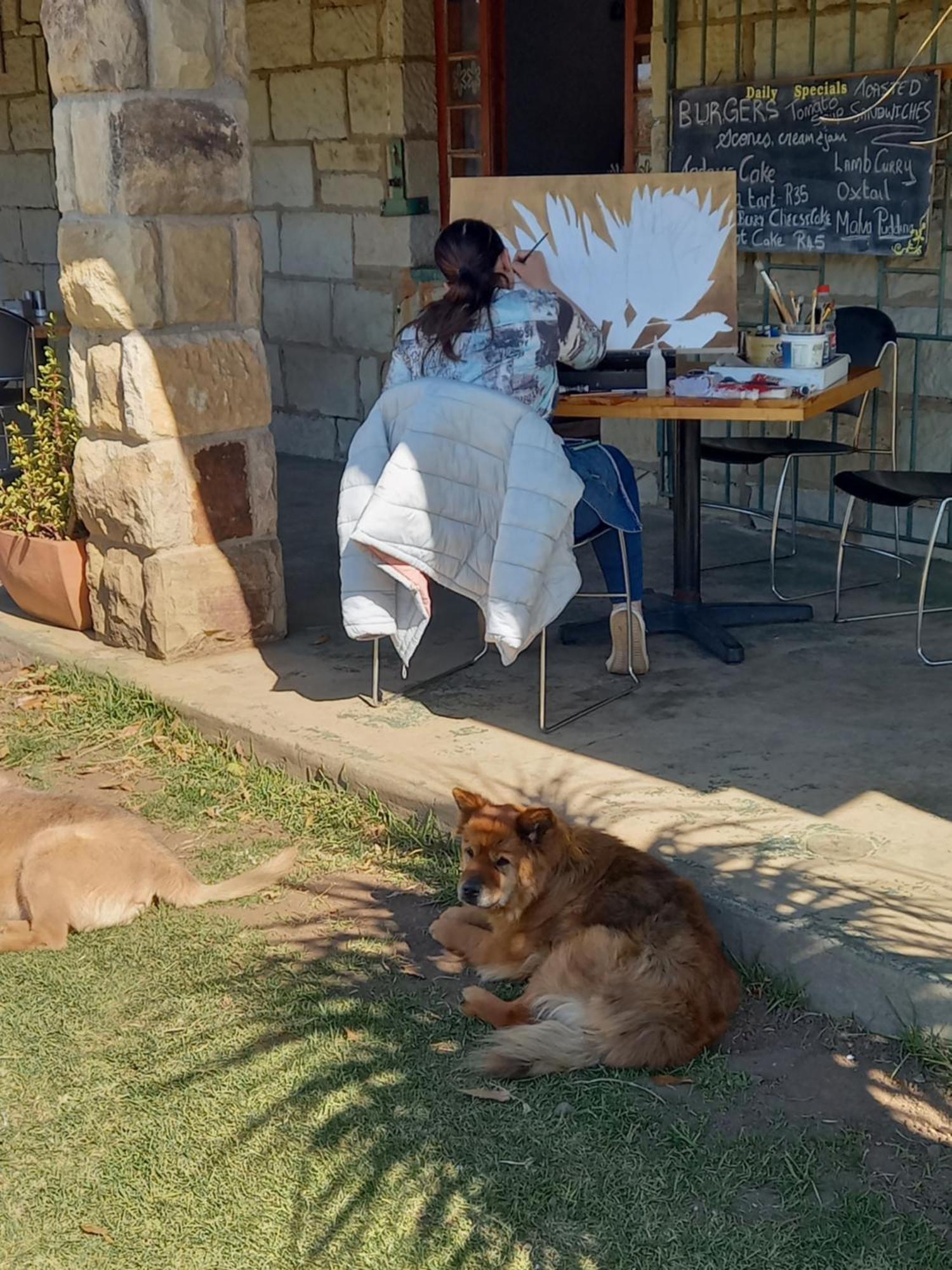 The Border Post, Bed And Breakfast Bergville Bagian luar foto